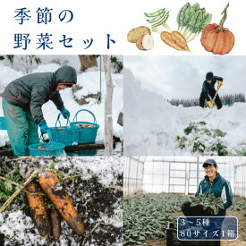 【ふるさと納税】季節の野菜セット（3～5種）季節・数量限定｜寒じめほうれん草、雪中にんじんといった雪まち野菜など、雪国ならではのお野菜を、その時一番美味しい旬のものを厳選しお届けします。1月下旬から2月上旬発送予定　道の駅しなの【長野県信濃町】