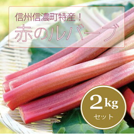 【ふるさと納税】≪初夏限定≫信州信濃町特産【ルバーブ（赤）2キロ】6月上旬まで受付！長野 信州 信濃町