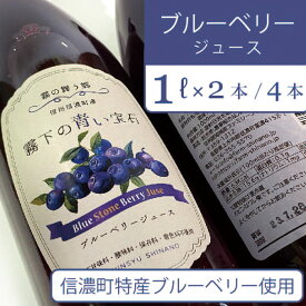 【ふるさと納税】ぶんぶく亭「Stone ブルーベリージュース（1リットル / 2本セット）」果汁25％｜人工甘味料・保存料・着色料不使用