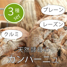 【ふるさと納税】「パン小舎（pangoya）」のカンパーニュ＆レーズンとくるみのパン　手作りパン 3点詰め合わせ