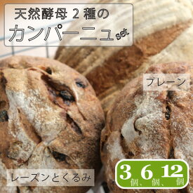 【ふるさと納税】「パン小舎（pangoya）」のカンパーニュ＆レーズンとくるみのパン　自家製天然酵母パン｜長野県産ゆめかおり使用【長野県信濃町ふるさと納税】