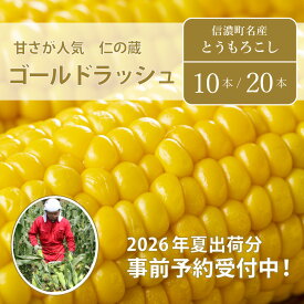 【ふるさと納税】 仁の蔵『ゴールドラッシュ 10本』【2026年夏の予約受付開始！】7月下旬出荷開始！長野県信濃町産とうもろこし ／スイートコーンの人気品種の予約受付中｜ 7月下旬～8月下旬随時出荷【長野県信濃町ふるさと納税】