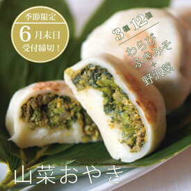 【ふるさと納税】春限定6月30日迄！黒姫高原の山菜を味わう！もちもち手づくり山菜おやき3種12個【長野県 信州 信濃町 ふるさと納税／こなもん屋ジロー】