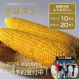 【ふるさと納税】TAKA農園『恵味（めぐみ）スター』2Lサイズ（1本450g相当）10本セット/ 20本セット2026年夏出荷分の予約受付開始！ ｜長野県信濃町名産とうもろこし／スイートコーンの人気品種を早期予約受付中！ 令和8年7月15～25日の限定出荷予定