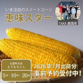 【ふるさと納税】TAKA農園『恵味（めぐみ）スター』2Lサイズ（1本450g相当）5本セット/10本セット/ 20本セット2026年夏出荷分の予約受付開始！ ｜長野県信濃町名産とうもろこし／スイートコーンの人気品種を早期予約受付中！ 令和8年7月15～25日の限定出荷予定