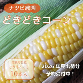 【ふるさと納税】ナツビ農園『どきどきコーン』10本セット（約4.5kg）/ 20本セット（約9kg）2026年夏出荷分のご予約受付開始！　信濃町名産とうもろこし／白と黄色のバイカラー品種、予約受付中！ 令和8年7月下旬～8月下旬に随時出荷【長野県信濃町】