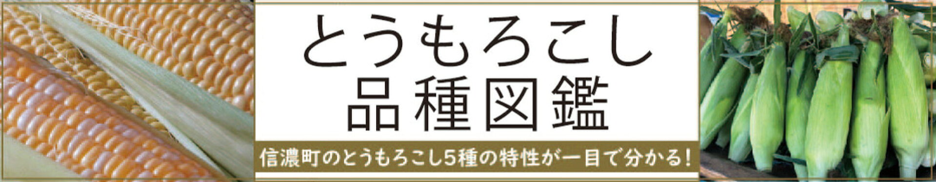 とうもろこし品種図鑑