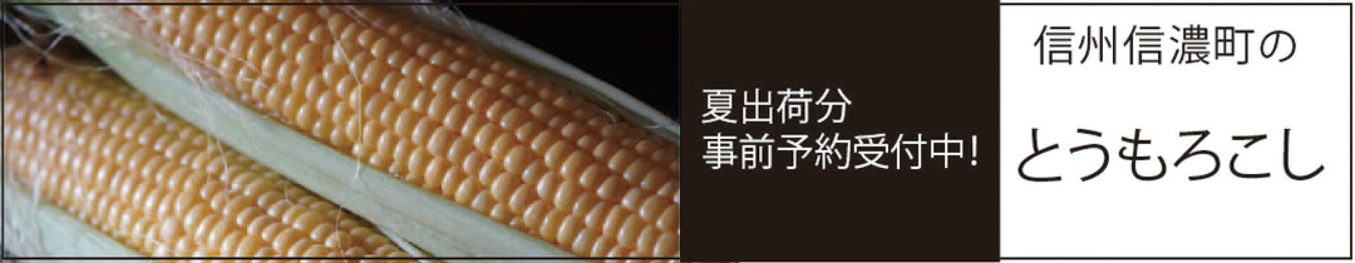 夏のとうもろこし