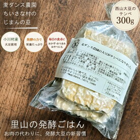 【ふるさと納税】280＊麦ダンス農園の大豆がテンペになりました　300g