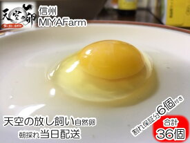 【ふるさと納税】381＊信州MIYAFARM　「天空の卵」有機野菜を食べて育った放し飼い自然卵　30個（割れ保証分6個付き　合計36個）