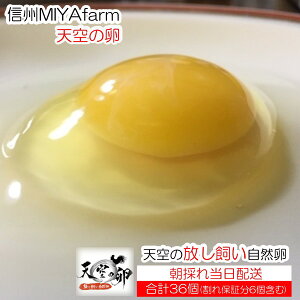 yӂ邳Ɣ[Łz381MBMIYAFARM@uV̗vVN؂HׂĈR@30iۏؕ6t@v36j