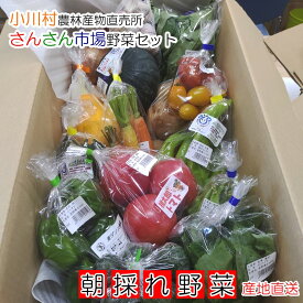 【ふるさと納税】301＊さんさん市場　やさい名人がチョイスする新鮮季節の野菜セット