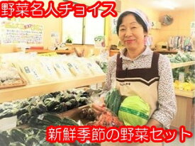 【ふるさと納税】301＊さんさん市場　やさい名人がチョイスする新鮮季節の野菜セット
