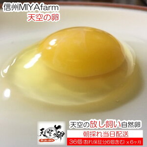 yӂ邳Ɣ[Łz382MBMIYAFARM@uV̗vVN؂HׂĈR@6