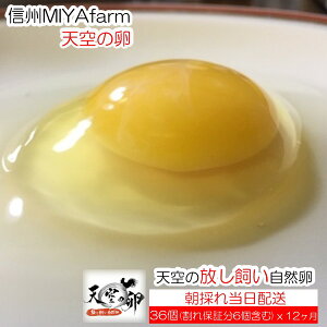 yӂ邳Ɣ[Łz383MBMIYAFARM@uV̗vVN؂HׂĈR@12