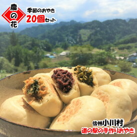 【ふるさと納税】308＊農の花　季節のおやきセット20個