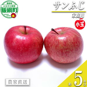 yӂ邳Ɣ[Łz  Tӂ  5kg ƒp ꗢR_ ꌧւ̔zs k ʕ t[c ь  \ _ƒ 5L 12000~ lyߘa7Nxnz F2025N12{`