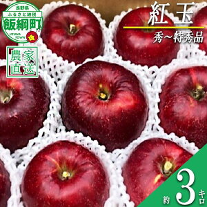 yӂ邳Ɣ[Łz  g G ` G 3kg TCY܂ V_ ꌧւ̔zs ߘa7Nxn GRt@[}[F 쌧 эj k MB ʕ t[c S ь  15000