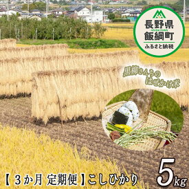 記事番号:36566/アイテムID:408955の画像