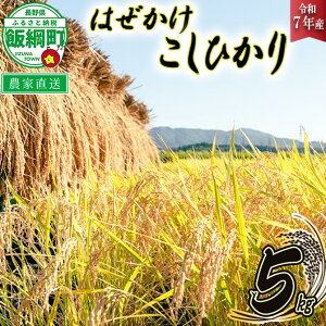 yӂ邳Ɣ[Łz  Ђ 5kg ( ߘa7NY ) ̂ ͂ ꌧւ̔zs 쌧 эj k RVqJ    MB 17500~ \ _ƒ lF2025N11