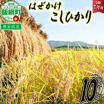 楽天市場】長野県 コシヒカリ 10kgの通販