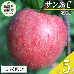 yӂ邳Ɣ[Łz  Tӂ ƒp 5kg _ ꌧւ̔zs ߘa7Nxn 쌧 эj y MB ʕ t[c S ь  \ _ƒ 13500~ zF2025N1