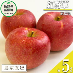 yӂ邳Ɣ[Łz  gR ƒp 5kg i_ ꌧւ̔zs ߘa7Nxn 쌧 эj k MB ʕ t[c S ь  \ _ƒ 16000~ lF2025N9