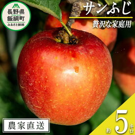 【ふるさと納税】 りんご サンふじ 贅沢な 家庭用 5kg 永野農園 沖縄県への配送不可 令和6年度収穫分 長野県 飯綱町 〔 信州 果物 フルーツ リンゴ 林檎 長野 予約 農家直送 16000円 〕発送時期：2024年12月上旬～2025年2月上旬