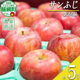 【ふるさと納税】 りんご サンふじ 訳あり 5kg 永野農園 沖縄県への配送不可 令和7年度収穫分 長野県 飯綱町 〔 信州 果物 フルーツ リンゴ 林檎 長野 予約 農家直送 11000円 〕発送時期：2026年1月上旬～