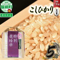 楽天市場】皇室献上 玄米の通販 