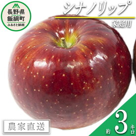 【ふるさと納税】 りんご シナノリップ 家庭用 3kg 松橋りんご園 沖縄県への配送不可 令和6年度収穫分 長野県 飯綱町 〔 信州 果物 フルーツ リンゴ 林檎 長野 10000円 予約 農家直送 〕発送時期：2024年8月中旬～2024年8月下旬 {**}