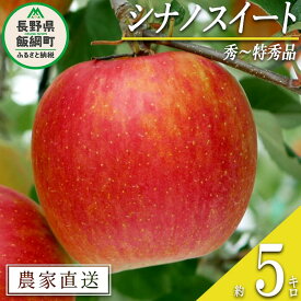 【ふるさと納税】 りんご シナノスイート 秀 ～ 特秀 5kg 松橋りんご園 沖縄県への配送不可 令和6年度収穫分 長野県 飯綱町 〔 信州 果物 フルーツ リンゴ 林檎 長野 16000円 予約 農家直送 〕発送時期：2024年10月上旬～2024年11月上旬 {***}