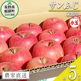 【ふるさと納税】 りんご サンふじ 家庭用 ( 小玉 ) 5kg 松橋りんご園 沖縄県への配送不可 令和7年度収穫分 長野県 飯綱町 【 信州 果物 フルーツ リンゴ 林檎 12000円 長野 】発送時期：2026年1月上旬〜2026年3月上旬 {**}