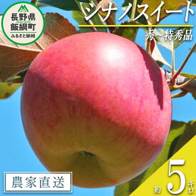 【ふるさと納税】 りんご シナノスイート 秀 ～ 特秀 5kg 丸山りんご園 沖縄県への配送不可 令和6年度収穫分 長野県 飯綱町 〔 信州 果物 フルーツ リンゴ 林檎 長野 15000円 予約 農家直送 〕発送時期：2024年10月上旬～2024年11月上旬 {***}