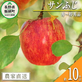 【ふるさと納税】 りんご サンふじ 秀 ～ 特秀 10kg 渡辺農園 令和6年度収穫分 エコファーマー認定 減農薬栽培 長野県 飯綱町 〔 信州 果物 フルーツ リンゴ 林檎 長野28000円 予約 農家直送 〕発送時期：2024年12月上旬～2025年1月中旬{***}