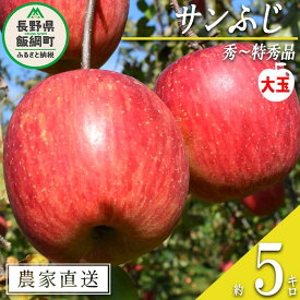 【ふるさと納税】 りんご サンふじ 秀 〜 特秀 ( 大玉 ) 5kg 渡辺農園 沖縄県への配送不可 令和7年度収穫分 エコファーマー認定 減農薬栽培 長野県 飯綱町 〔 信州 果物 フルーツ リンゴ 林檎 長野 17000円 予約 農家直送 〕発送時期：2025年12月上旬〜2026年1月中旬 {***}