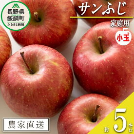 【ふるさと納税】 りんご サンふじ ( 小玉 ) 家庭用 5kg 沖縄県への配送不可 令和7度収穫分 静谷りんご園 信州の環境にやさしい農産物認証 減農薬栽培 長野県 飯綱町 【 果物 フルーツ 信州 リンゴ 林檎 長野 11000円 】発送期間：2025年12月中旬〜2025年12月下旬