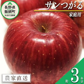 【ふるさと納税】 りんご サンつがる 家庭用 3kg 沖縄県への配送不可 令和6年度収穫分 信州の環境にやさしい農産物認証 減農薬栽培 静谷りんご園 長野県 飯綱町 〔 果物 フルーツ 信州 リンゴ 林檎 長野 9000円 予約 農家直送 〕発送期間：2024年9月上旬～2024年9月中旬