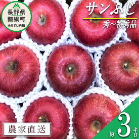 【ふるさと納税】 りんご 蜜入り サンふじ 秀 〜 特秀 3kg サイズおまかせ 井澤農園 沖縄県への配送不可 令和7年度収穫分 エコファーマー認定 長野県 飯綱町 〔 信州 果物 フルーツ リンゴ 林檎 長野 16000円 予約 農家直送 〕発送時期：2025年11月中旬〜2026年1月下旬 {***}