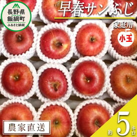 【ふるさと納税】 りんご 蔵出し 早春 サンふじ 家庭用 ( 小玉 ) 5kg 井澤農園 沖縄県への配送不可 令和6年度収穫分 エコファーマー認定 長野県 飯綱町 〔 信州 果物 フルーツ リンゴ 林檎 長野 13000円 予約 農家直送 〕発送時期：2025年3月上旬～2025年4月上旬 {**}