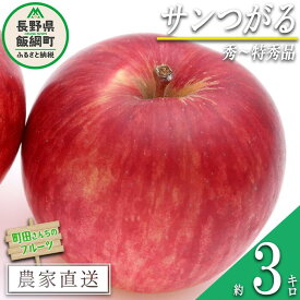 【ふるさと納税】 りんご サンつがる 秀 ～ 特秀 3kg 町田さんちのりんご 長野県 飯綱町 〔 リンゴ 林檎 果物 フルーツ 信州 長野 11000円 予約 農家直送 〕発送期間：2024年8月下旬～2024年9月上旬{***}