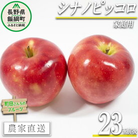 【ふるさと納税】 りんご シナノピッコロ 家庭用 約 23玉前後 町田さんちのりんご 長野県 飯綱町 〔 リンゴ 林檎 果物 フルーツ 信州 長野 12000円 予約 農家直送 〕 発送期間：2024年9月下旬～2024年10月下旬{**}