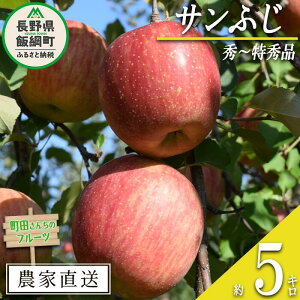 yӂ邳Ɣ[Łz  Tӂ G ` G 5kg c񂿂̂ 쌧 эjꌧւ̔s k S ь ʕ t[c MB  16000~ \ _ƒ lԁF2025N12