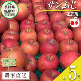 【ふるさと納税】 りんご サンふじ （ 極小 ） 家庭用 5kg 町田さんちのりんご 長野県 飯綱町 〔 リンゴ 林檎 果物 フルーツ 信州 長野 11000円 予約 農家直送 〕発送期間：2026年1月上旬〜2026年2月上旬