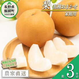 【ふるさと納税】 梨 家庭用 3kg （品種おまかせ） 配送先は本州限定 町田さんちのフルーツ 長野県 飯綱町 〔 なし ナシ フルーツ 果物 信州 長野 11000円 〕発送期間：2024年9月上旬～2024年10月上旬