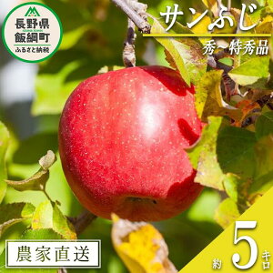yӂ邳Ɣ[Łz  Tӂ G ` G 5kg V_ ꌧւ̔zs ߘa7Nxn 쌧 эj k MB ʕ t[c S ь  16000~ \ _ƒ lF202