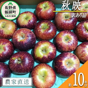 yӂ邳Ɣ[Łz  Hf 󂠂 10kg V_ ꌧւ̔zs ߘa7Nxn 쌧 эj k  s 킯 S ь ʕ t[c MB  16500~ \ _ƒ l