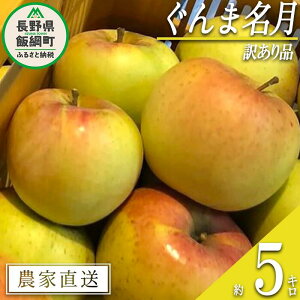 yӂ邳Ɣ[Łz  ܖ 󂠂 5kg V_ ꌧւ̔zs ߘa7Nxn 쌧 эj k  s 킯 S ь ʕ t[c MB  12000~ \ _ƒ