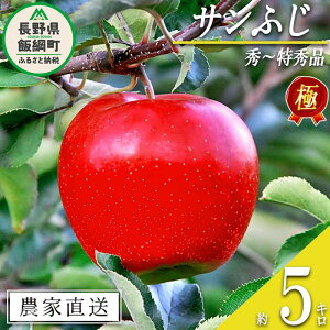 yӂ邳Ɣ[Łz  ɂ Tӂ 5kg ̓y V_ ߘa7Nxn 쌧 эj k MB t[c ʕ S ь  25000~ \ _ƒ lF2025N11