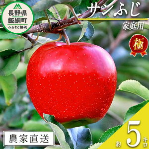 yӂ邳Ɣ[Łz  ɂ Tӂ ƒp 5kg ̓y V_ ꌧւ̔zs ߘa7Nxn 쌧 эj k MB t[c ʕ S ь  17000~ \ _